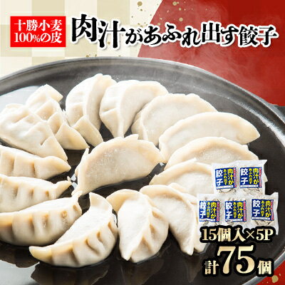 【ふるさと納税】十勝餃子手房にしかわの肉汁があふれ出す餃子セット 15個入×5パック【配送不可地域:離島】【1253086】