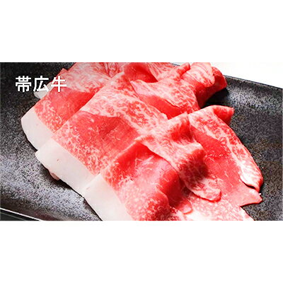 北海道帯広市の画像2