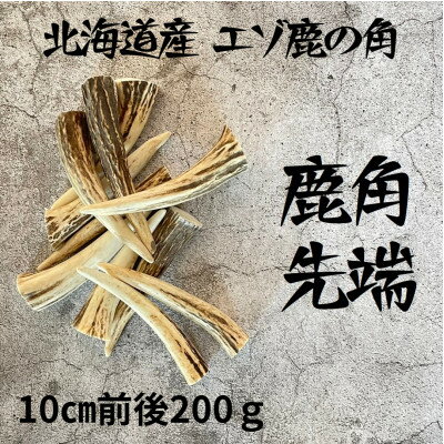 1位! 口コミ数「0件」評価「0」鹿の角 枝先10cm前後200gセット 北海道産 アクセサリー クラフト材【1413839】