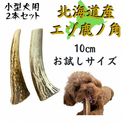 鹿の角 お試しサイズ 10cm 2本 犬のおもちゃ デンタルケア 小型犬用