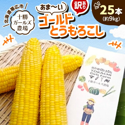 先行予約【十勝ガールズ農場】訳あり 直送 朝もぎつぶつぶ「あま～いゴールドとうもろこし」25本【配送不可地域：離島】【1462031】