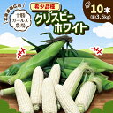 【ふるさと納税】先行予約【十勝ガールズ農場】希少品種「クリスピーホワイト」10本【配送不可地域:離島】【1462033】