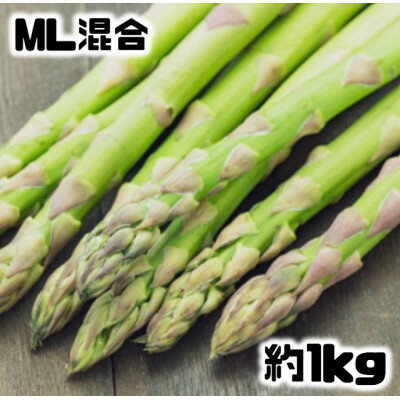 【ふるさと納税】【先行予約】グリーンアスパラM・Lサイズ混合約1kg(500g×2袋)【配送不可地域：離島】【1491237】