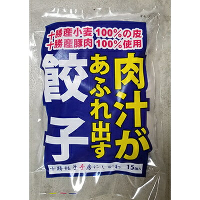 [2ヵ月毎定期便]肉汁があふれ出す餃子 全3回[配送不可地域:離島]