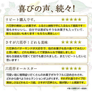 【ふるさと納税】 六花亭 ・ 六花撰 19個入 _ 帯広市 北海道 スイーツ おやつ お菓子 マルセイ マルセイバターサンド バターサンド ギフト プレゼント 贈り物 【配送不可地域：離島】【1227401】