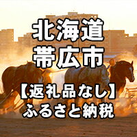 3位! 口コミ数「0件」評価「0」北海道帯広市への寄付（返礼品はありません）