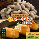 【ふるさと納税】【期間限定】大正メークイン満喫セット 大正メークイン約10kg+大正メークインじゃがバター5個入【1328072】