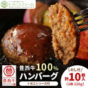【ふるさと納税】【のし付】豊西牛 100%ハンバーグ 10枚入 ギフト 贈答用 (トヨニシソース付)【配送不可地域:離島】【1144340】