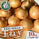【ふるさと納税】北海道十勝帯広産 玉ねぎ 10kg【配送不可地域:離島】【1497180】