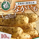 【ふるさと納税】北海道十勝帯広産 ながいも 10kg【配送不可地域:離島】【1497185】