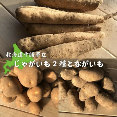 【先行予約】 じゃがいも2種+ながいも 計9kgセット　北海道十勝帯広産【1497187】