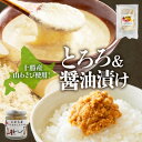 【ふるさと納税】十勝 山わさび入り ごはんのおとも 2種セット とろろ&醤油漬け 各2個 北海道 帯広市【配送不可地域:離島】【1514037】