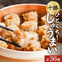 【ふるさと納税】十勝 肉しゅうまい 18個入り×2パック ひとくちサイズ 北海道 帯広市【配送不可地域:離島】【1514145】