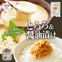 【ふるさと納税】熨斗 十勝 山わさび入り ごはんのおとも 2種セット とろろ&醤油漬け 各2個 北海道 帯広市【配送不可地域:離島】【1521622】