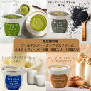 【ふるさと納税】ゴールデンジャージーアイスクリーム【ミルク+フレーバー3種セット】(6個入り、12個入り)【配送不可地域:離島】【G1516655】