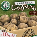 【ふるさと納税】北海道十勝帯広産 じゃがいも 2種10kg(メークイン とうや )【配送不可地域:離島】【1497186】