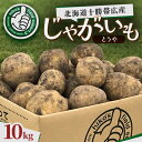 【ふるさと納税】じゃがいも (とうや)10kg 北海道十勝帯広産【配送不可地域:離島】【1497195】