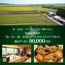 【ふるさと納税】【北海道ツアー】帯広市 後から選べる旅行Webカタログで使える!旅行クーポン 9万円分【1547791】