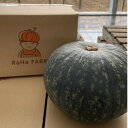 【ふるさと納税】北海道帯広市産 かぼちゃ「きみまろん」10kg 糖度15〜19【1548011】