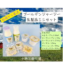 【ふるさと納税】ゴールデンジャージー乳製品(牛乳・のむヨーグルト・プレン・オリゴ・チーズ3種)ミニセット【配送不可地域:離島】【1595681】