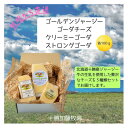 【ふるさと納税】ゴールデンジャージー ゴーダ&クリーミーゴーダ&ストロングゴーダ 各100g【配送不可地域:離島】【1601816】