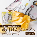 【ふるさと納税】ポテトけんぴチップス(チーズ&チーズ) 5袋【Brand New Tokachi】【1607793】