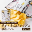 【ふるさと納税】ポテトけんぴチップス(塩キャラメル) 5袋【Brand New Tokachi】【1607797】