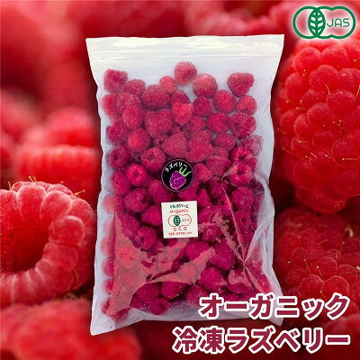 【令和8年8月以降出荷】有機JAS認証 冷凍ラズベリー2種食べ比べ 4.5kg (500g×9袋)【配送不可地域：離島】【1743545】