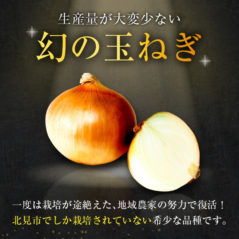 【ふるさと納税】【予約：2024年9月下旬から順次発送】幻の北見黄 北海道北見産 10kg ( ふるさと納税 玉ねぎ ふるさと納税 たまねぎ ふるさと納税 野菜 タマネギ Lサイズ 10キロ 詰合せ 先行予約 )