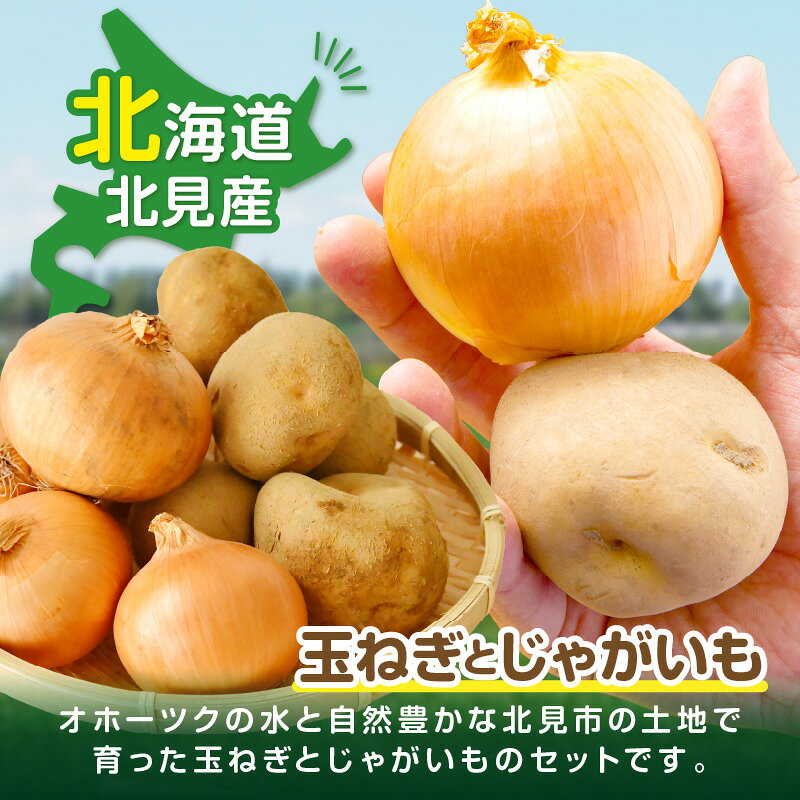 【ふるさと納税】【予約】【数量限定】北海道産 たまねぎ じゃがいも セット 約7kg 約15kg