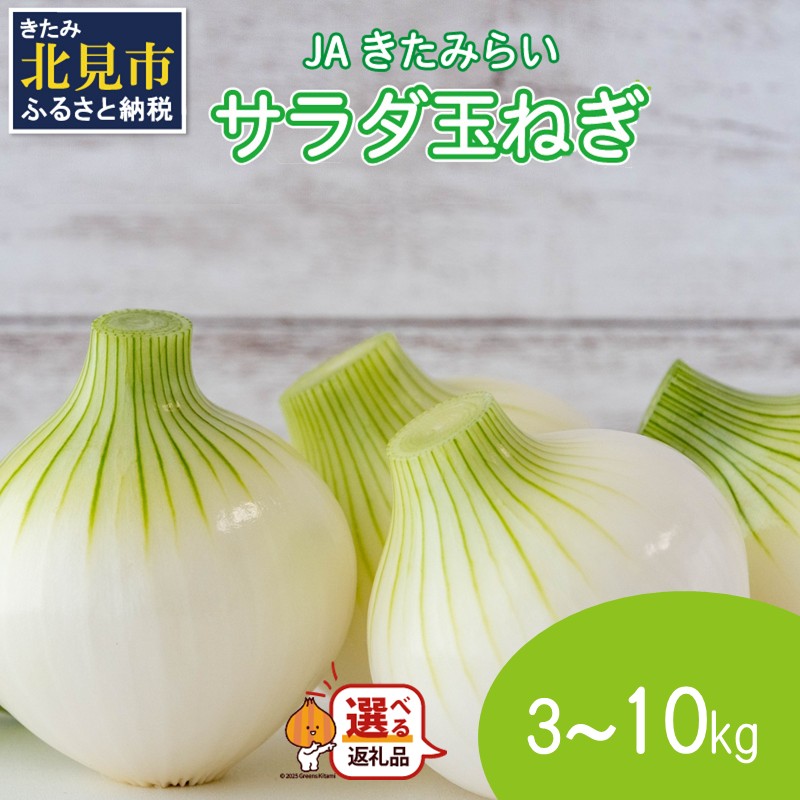 【予約：2025年7月下旬から順次発送】北海道 JAきたみらい サラダ玉ねぎ 3kg 10kg (玉葱 サラダ 期間限定 )