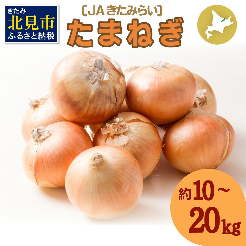 ＼11/20まで！／【予約：2024年10月上旬から順次発送】北海道 JAきたみらい「たまねぎ」10kg 20kg ( 期間限定 野菜 玉ねぎ 玉葱 )