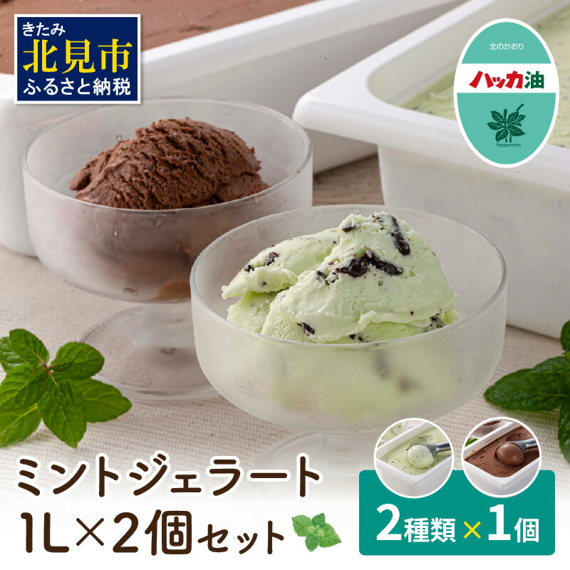 48位! 口コミ数「5件」評価「4.2」ミントジェラート1L 2種×1個 ( ジェラート アイス アイスクリーム ハッカ チョコ ミント ミントアイス スイーツ チョコチップミント･･･ 