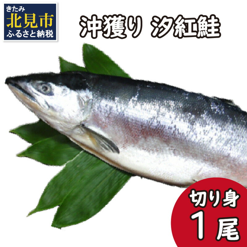 沖獲り 汐紅鮭 切り身 1尾 ( さけ 鮭 紅鮭 魚 魚介類 ふるさと納税 )