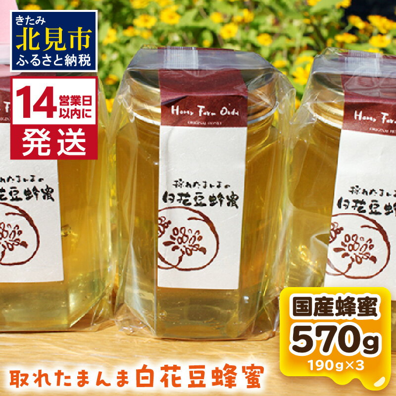 [14営業日以内に発送]採れたまんまの白花豆蜂蜜 190g×3本セット ( 蜂蜜 はちみつ ハチミツ 蜜 甘い 白花豆 蜂 純粋蜂蜜 贅沢 国産 酸味 おいしい おやつ 天然 自然 )