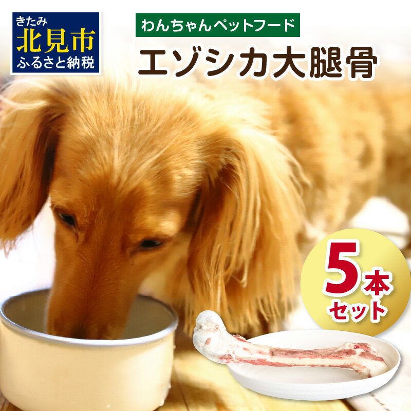 20位! 口コミ数「0件」評価「0」エゾシカ大腿骨 5本 ( 犬 えさ 餌 犬の餌 ペットフード 鹿 エゾシカ肉 鹿肉 健康 おやつ 骨 )