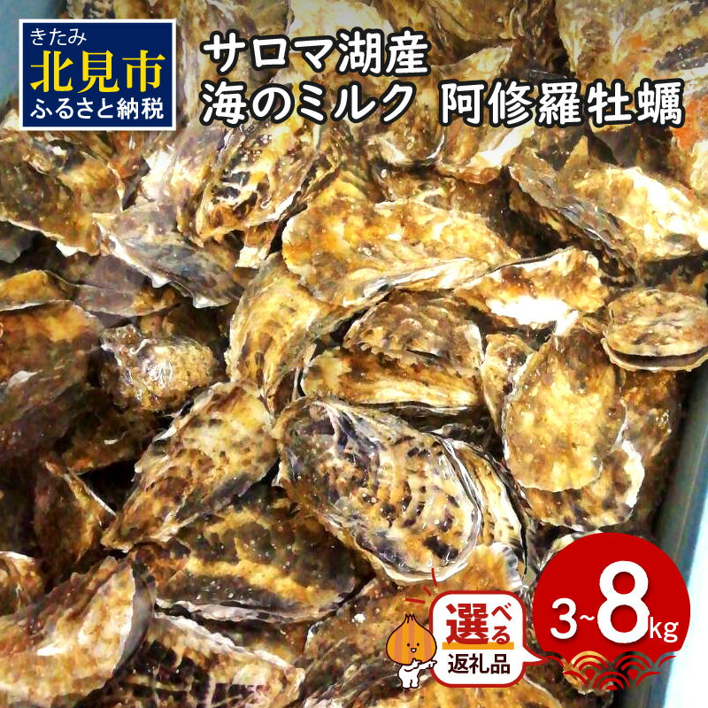 魚介類・水産加工品(貝類)人気ランク25位　口コミ数「19件」評価「3.37」「【ふるさと納税】【予約：2024年10月中旬から順次発送・選べる内容量】サロマ湖産 海のミルク 阿修羅牡蠣 3kg 5kg 8kg ( 魚介類 海鮮 魚介 牡蠣 かき カキ 海のミルク サロマ湖 3キロ 5キロ 8キロ 期間限定 国産 1年カキ 選べる )」