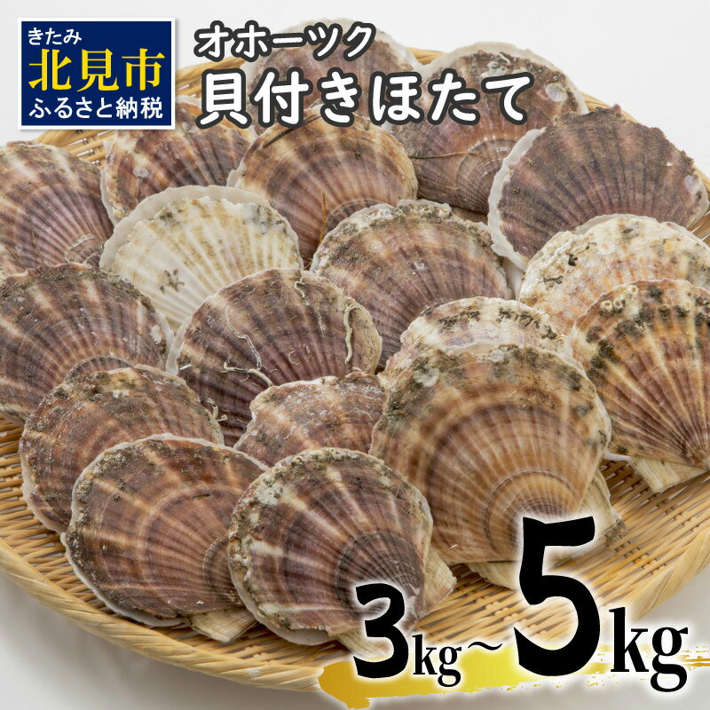 【ふるさと納税】【予約：2024年3月下旬から順次発送】オホーツク貝付きほたて 3kg 5kg (15枚～50枚)( 海鮮 魚介 魚介類 貝 貝類 ホタテ ほたて 帆立 殻付き 貝柱 贈答 ギフト 贈り物 お中元 お祝い BBQ バーベキュー )