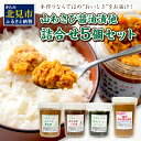 【ふるさと納税】【お中元】山わさび醤油漬他詰合せ