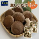 【ふるさと納税】北海道産 生しいたけ(菌床) 2パック