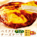 【ふるさと納税】【ブラックフライデー】\12/10入金分まで年内配送/【北...