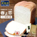 パン用強力粉 春よ恋 4kg 25kg 定期便(4kg×3回)　※賞味期限30日保証 ( パン用強力粉 北海道産 小麦粉 パン 製パン )