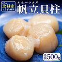 【ふるさと納税】オホーツク産 冷凍帆立貝柱 500g ( 大