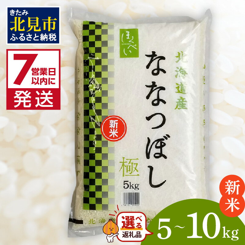 《7営業日以内に発送》新米 令和8年産 ななつぼし 極 5kg 10kg 北海道産 精白米 最高ランク 特A ( お米 米 精米 5キロ 10キロ 北海道産 精白米 )