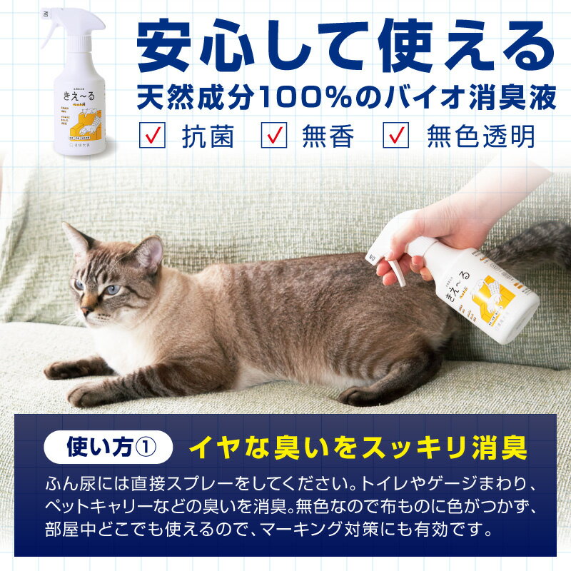 北海道北見市の画像3