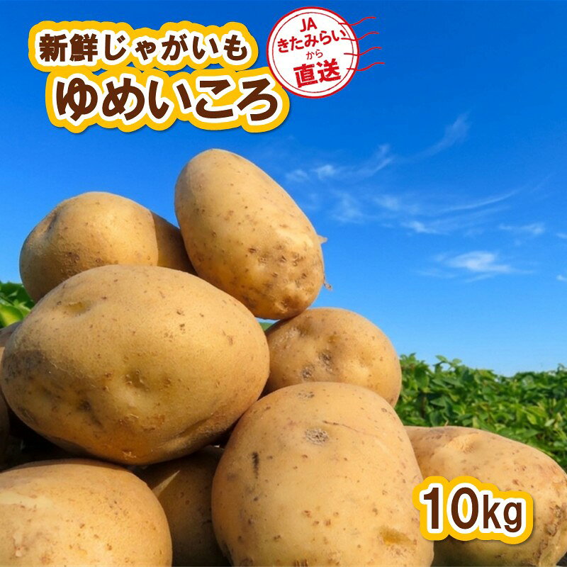 【ふるさと納税】【予約：2026年10月上旬から順次発送】JAきたみらいから直送する新鮮じゃがいも「ゆめいころ」10kg (JAきたみらい JA 直送 じゃがいも いも 芋 ジャガイモ)
