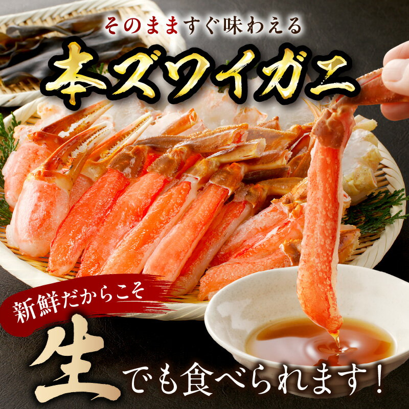 【ふるさと納税】北見市加工 生冷本ズワイガニセット 1kg 昆布入り ( 蟹 かに 魚介類 カニ鍋 ズワイガニ ふるさと納税 贈答 熨斗 )