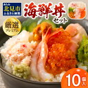 【ふるさと納税】厳選！プレミアム海鮮丼セット10個入 ( う