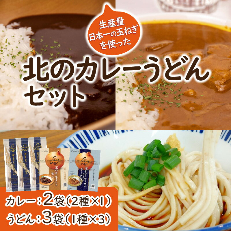 【ふるさと納税】【9月30日受付終了】生産量日本一の玉ねぎを使った北のカレーうどんセット ( カレー うどん 麺 セット 玉ねぎ たまねぎ 牛すじ チーズ 豚 ) f012084-kitami-10000495 北海道北見市 サンプル画像2