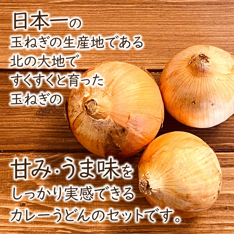 【ふるさと納税】【9月30日受付終了】生産量日本一の玉ねぎを使った北のカレーうどんセット ( カレー うどん 麺 セット 玉ねぎ たまねぎ 牛すじ チーズ 豚 ) f012084-kitami-10000495 北海道北見市 サンプル画像3